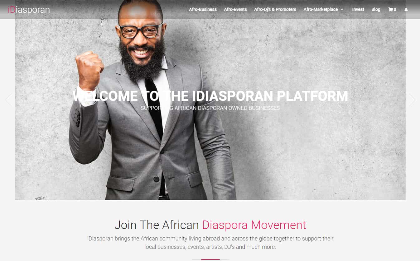 IDiasporan Platform - Web Application Project